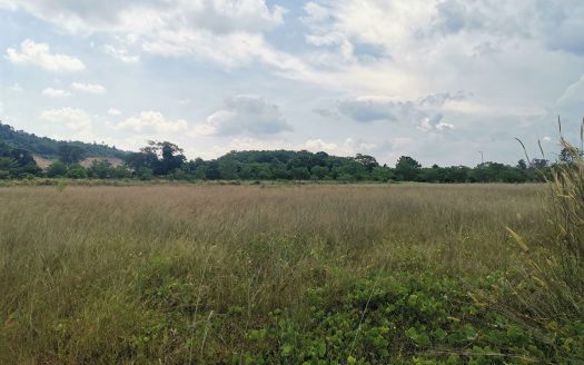 Industrial Land | Bandar Baru Enstek @ Techpark